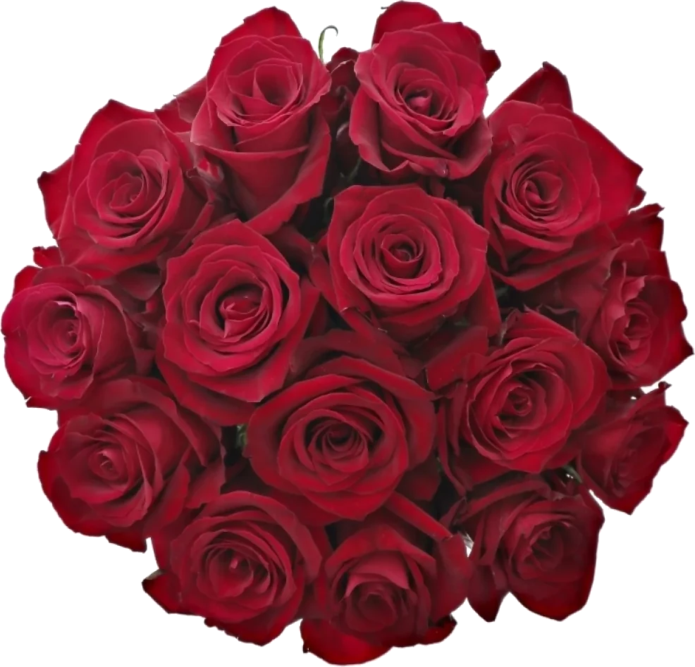 Kytice rudých růží od Florea
